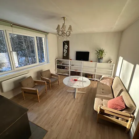 With Sauna And Fireplace Viitna