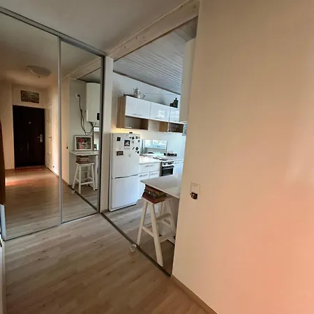 With Sauna And Fireplace Viitna