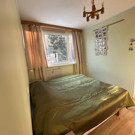 Apartament With Sauna And Fireplace