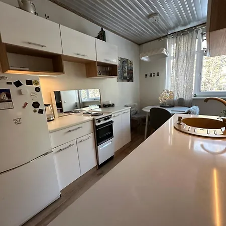 With Sauna And Fireplace Apartment