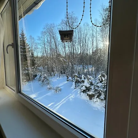 With Sauna And Fireplace *