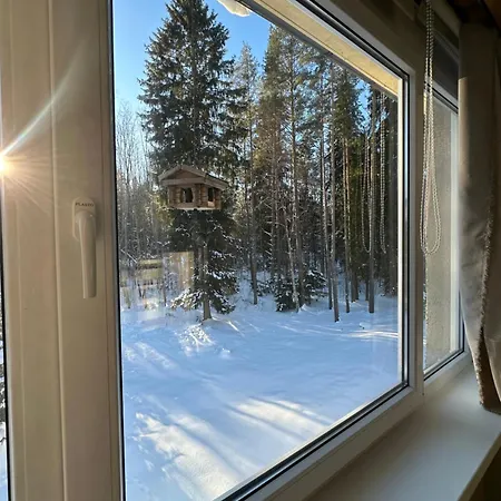 With Sauna And Fireplace