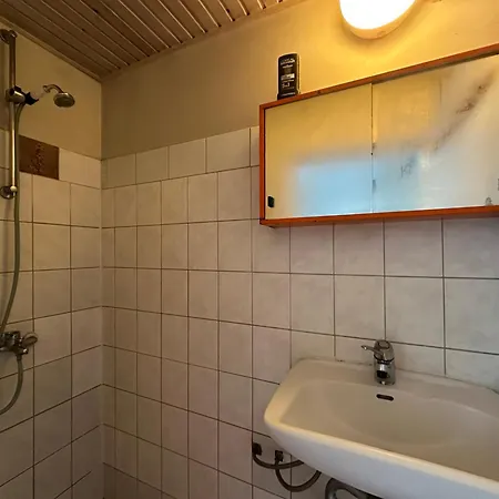 With Sauna And Fireplace Viitna