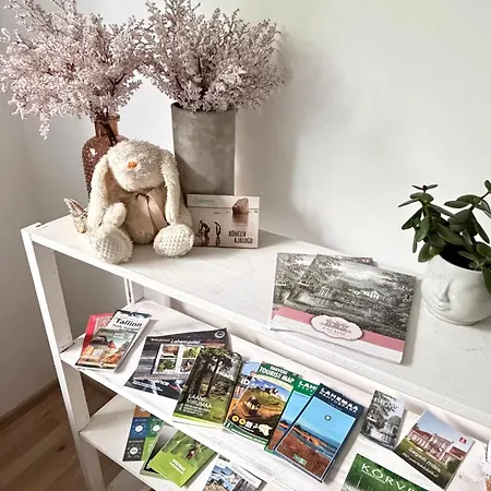 With Sauna And Fireplace Apartment Viitna