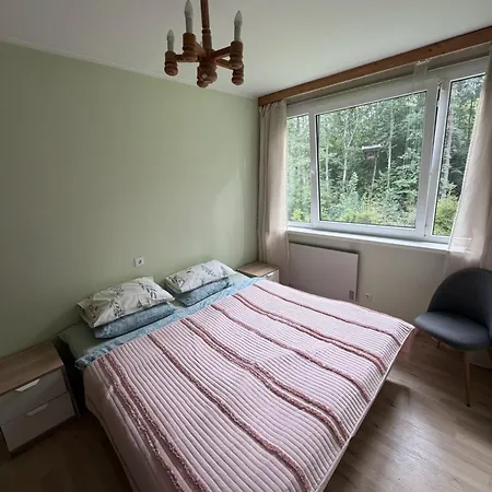 With Sauna And Fireplace Apartman