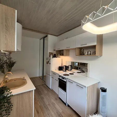 With Sauna And Fireplace * Viitna