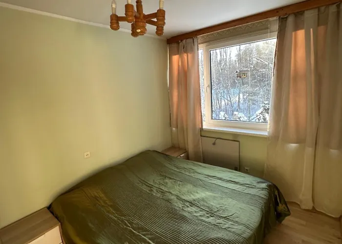 Apartament With Sauna And Fireplace