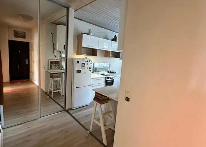 With Sauna And Fireplace Viitna