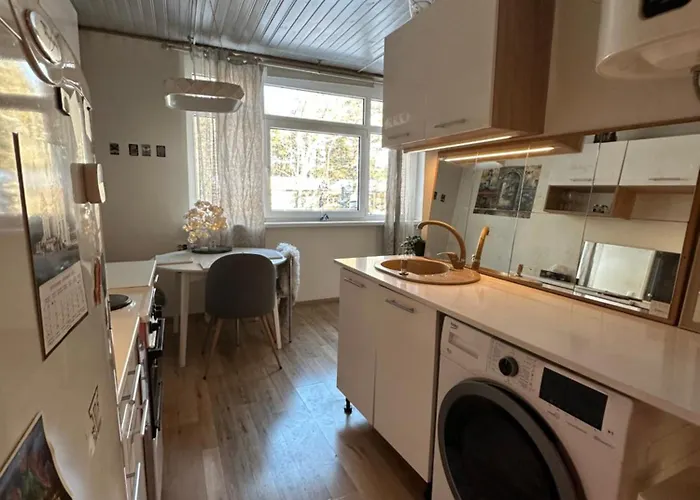 Apartament With Sauna And Fireplace Viitna