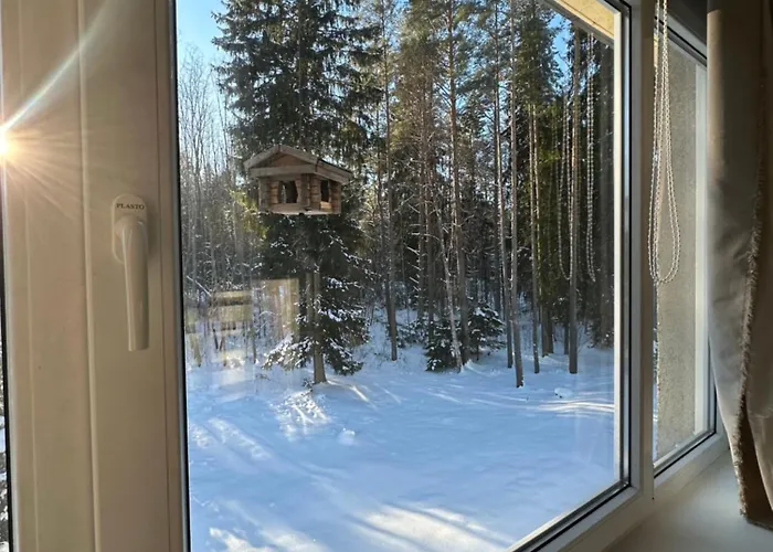 With Sauna And Fireplace