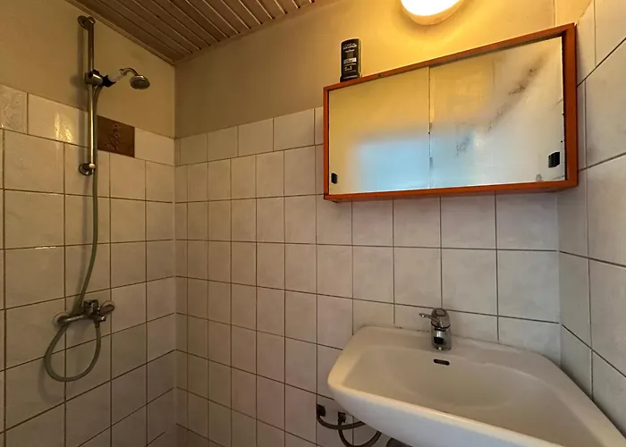 With Sauna And Fireplace Viitna